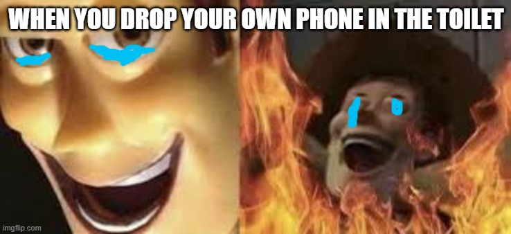 Evil Woody Cry | WHEN YOU DROP YOUR OWN PHONE IN THE TOILET | image tagged in evil woody | made w/ Imgflip meme maker