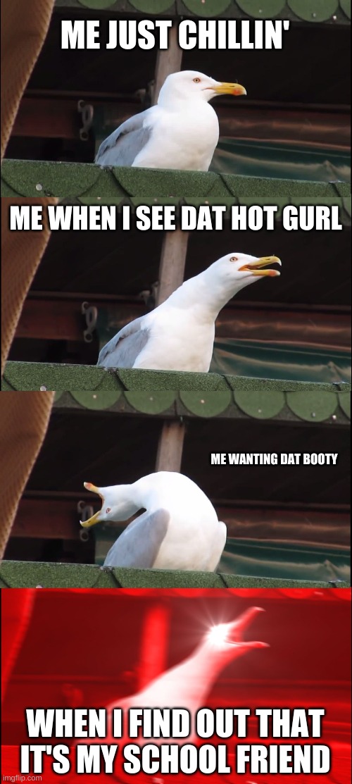 Me Just Chillin' 3.0 | ME JUST CHILLIN'; ME WHEN I SEE DAT HOT GURL; ME WANTING DAT BOOTY; WHEN I FIND OUT THAT IT'S MY SCHOOL FRIEND | image tagged in memes,inhaling seagull,booty,big booty | made w/ Imgflip meme maker