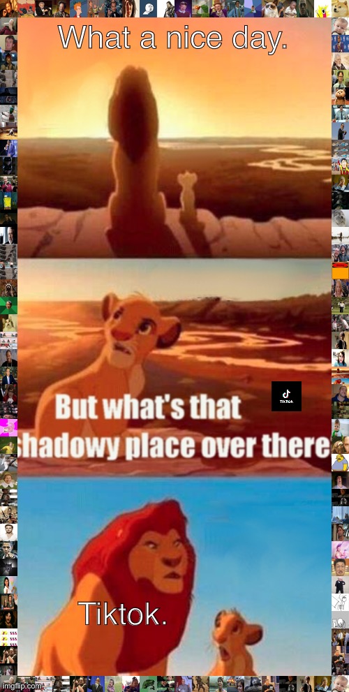 Not to be taken super seriously | What a nice day. Tiktok. | image tagged in memes,simba shadowy place,tiktok | made w/ Imgflip meme maker