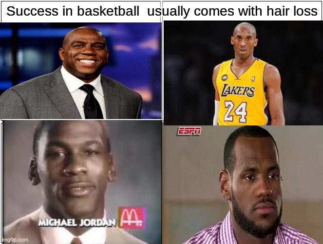 The 4 best players of all time are almost bald | Success in basketball  usually comes with hair loss | image tagged in memes,blank comic panel 2x2 | made w/ Imgflip meme maker