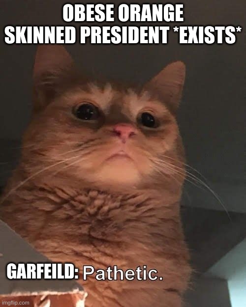 trump | OBESE ORANGE SKINNED PRESIDENT *EXISTS*; GARFEILD: | image tagged in not quite politics | made w/ Imgflip meme maker