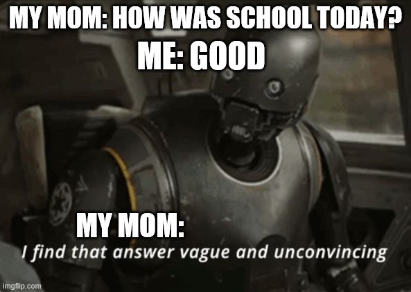 I find that answer vague and unconvincing | ME: GOOD; MY MOM: HOW WAS SCHOOL TODAY? MY MOM: | image tagged in i find that answer vague and unconvincing | made w/ Imgflip meme maker