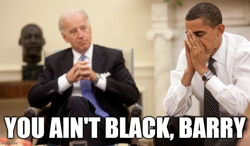 Biden Obama | YOU AIN'T BLACK, BARRY | image tagged in biden obama | made w/ Imgflip meme maker