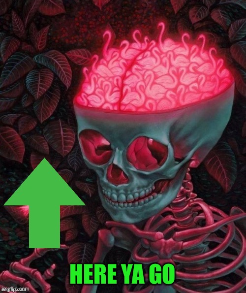 Upvote Skull | HERE YA GO | image tagged in upvote skull | made w/ Imgflip meme maker