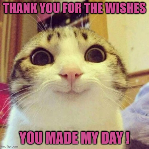 Thank you | THANK YOU FOR THE WISHES; YOU MADE MY DAY ! | image tagged in memes,smiling cat | made w/ Imgflip meme maker