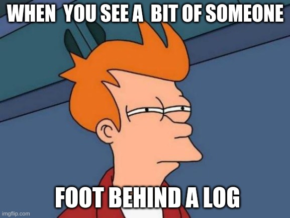 Futurama Fry | WHEN  YOU SEE A  BIT OF SOMEONE; FOOT BEHIND A LOG | image tagged in memes,futurama fry | made w/ Imgflip meme maker