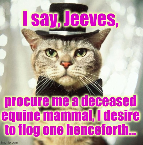 I say, Jeeves, procure me a deceased
equine mammal, I desire
to flog one henceforth... | image tagged in dead horse,cat,jeeves | made w/ Imgflip meme maker