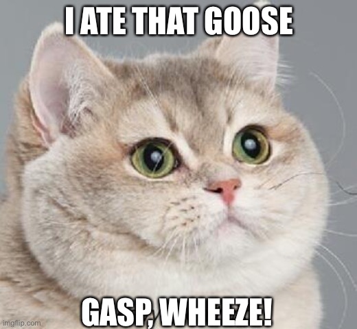 Heavy Breathing Cat Meme | I ATE THAT GOOSE GASP, WHEEZE! | image tagged in memes,heavy breathing cat | made w/ Imgflip meme maker