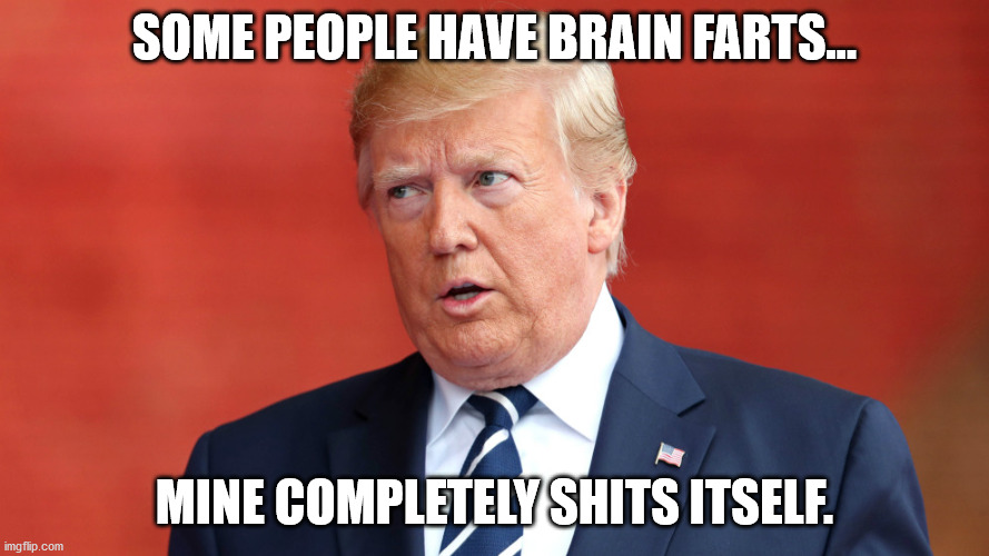 SOME PEOPLE HAVE BRAIN FARTS... MINE COMPLETELY SHITS ITSELF. | image tagged in trump,brain fart | made w/ Imgflip meme maker
