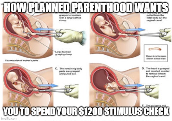 HOW PLANNED PARENTHOOD WANTS YOU TO SPEND YOUR $1200 STIMULUS CHECK | made w/ Imgflip meme maker