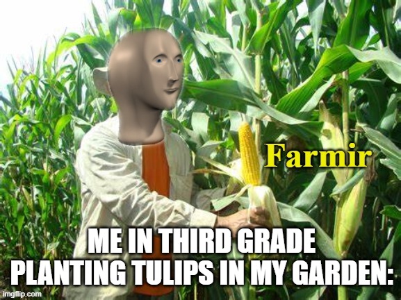 Stonks Farmir | ME IN THIRD GRADE PLANTING TULIPS IN MY GARDEN: | image tagged in stonks farmir,funny,memes,third grade | made w/ Imgflip meme maker