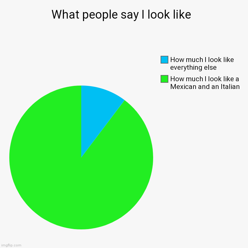 What people say I look like  | How much I look like a Mexican and an Italian , How much I look like everything else | image tagged in charts,pie charts | made w/ Imgflip chart maker