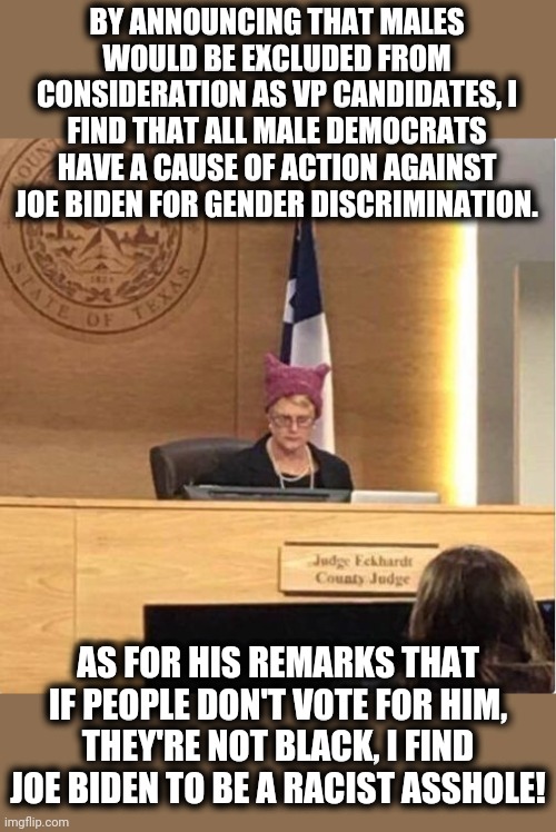 If there was any justice: | BY ANNOUNCING THAT MALES WOULD BE EXCLUDED FROM CONSIDERATION AS VP CANDIDATES, I FIND THAT ALL MALE DEMOCRATS HAVE A CAUSE OF ACTION AGAINST JOE BIDEN FOR GENDER DISCRIMINATION. AS FOR HIS REMARKS THAT IF PEOPLE DON'T VOTE FOR HIM, THEY'RE NOT BLACK, I FIND JOE BIDEN TO BE A RACIST ASSHOLE! | image tagged in sjw judge,joe biden,racist,senile,creep | made w/ Imgflip meme maker