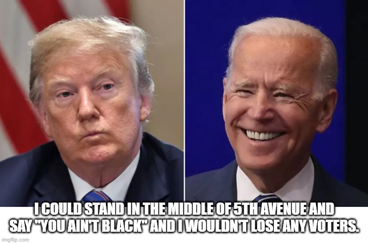 I COULD STAND IN THE MIDDLE OF 5TH AVENUE AND SAY "YOU AIN'T BLACK" AND I WOULDN'T LOSE ANY VOTERS. | made w/ Imgflip meme maker