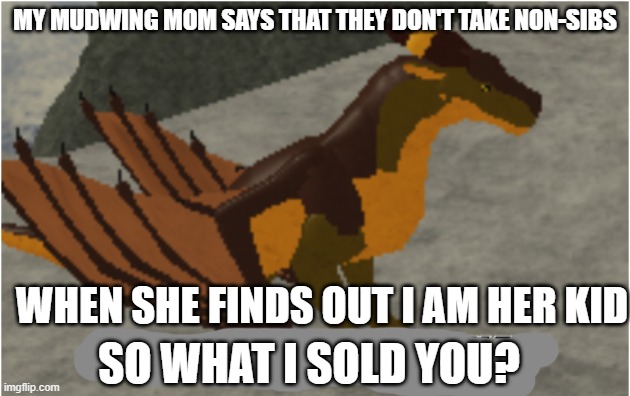 MOM DOES NOT CARE | MY MUDWING MOM SAYS THAT THEY DON'T TAKE NON-SIBS; WHEN SHE FINDS OUT I AM HER KID; SO WHAT I SOLD YOU? | made w/ Imgflip meme maker
