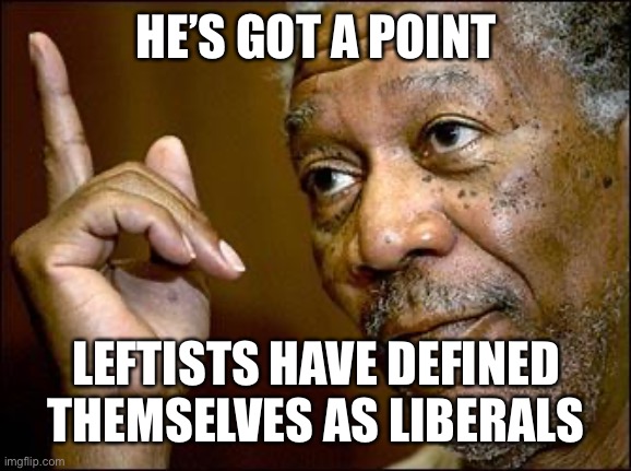 This Morgan Freeman | HE’S GOT A POINT LEFTISTS HAVE DEFINED THEMSELVES AS LIBERALS | image tagged in this morgan freeman | made w/ Imgflip meme maker