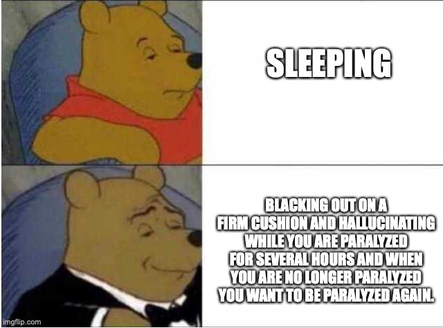 Elegant and Regular Winnie the Poo | SLEEPING BLACKING OUT ON A FIRM CUSHION AND HALLUCINATING WHILE YOU ARE PARALYZED FOR SEVERAL HOURS AND WHEN YOU ARE NO LONGER PARALYZED YOU | image tagged in elegant and regular winnie the poo | made w/ Imgflip meme maker