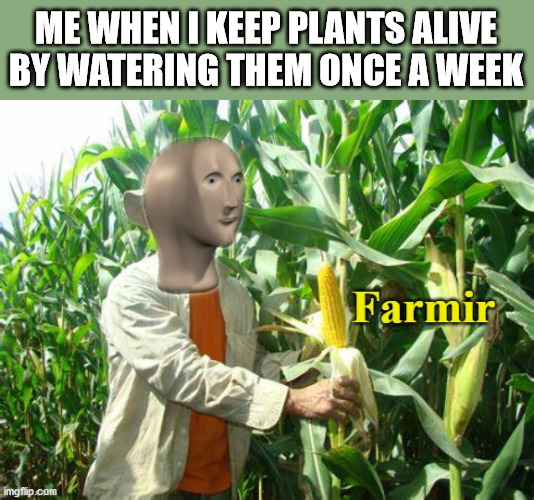 Yes | ME WHEN I KEEP PLANTS ALIVE BY WATERING THEM ONCE A WEEK | image tagged in stonks farmir,memes,farmer,plants | made w/ Imgflip meme maker