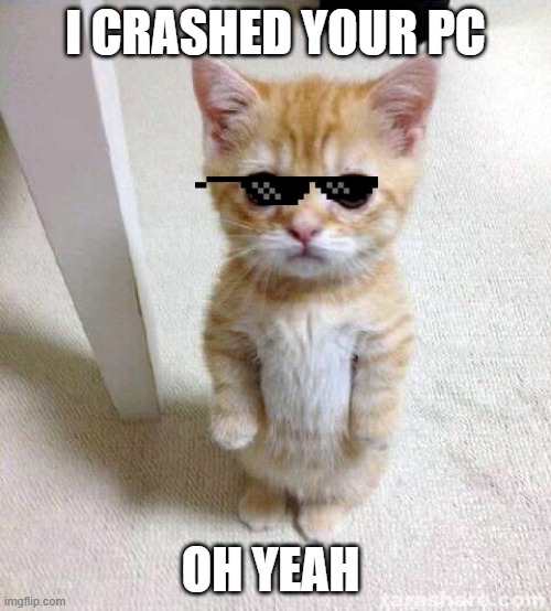 Cute Cat Meme | I CRASHED YOUR PC; OH YEAH | image tagged in memes,cute cat | made w/ Imgflip meme maker