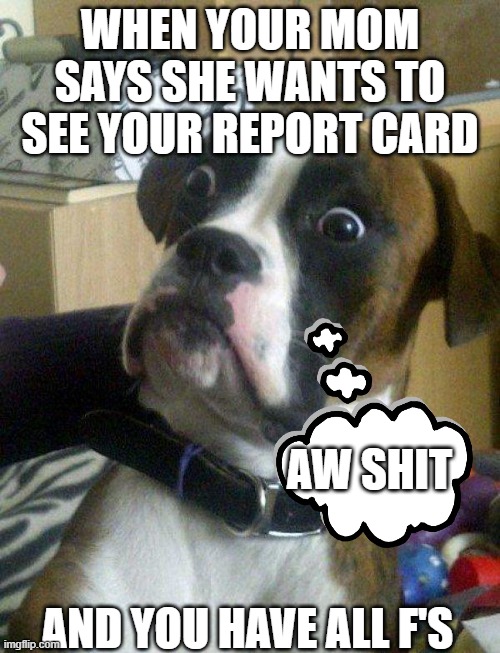 Blankie the Shocked Dog | WHEN YOUR MOM SAYS SHE WANTS TO SEE YOUR REPORT CARD; AW SHIT; AND YOU HAVE ALL F'S | image tagged in blankie the shocked dog | made w/ Imgflip meme maker