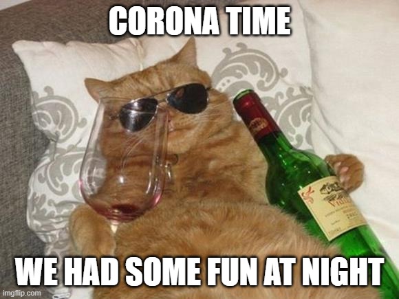 Funny Cat Birthday | CORONA TIME; WE HAD SOME FUN AT NIGHT | image tagged in funny cat birthday | made w/ Imgflip meme maker
