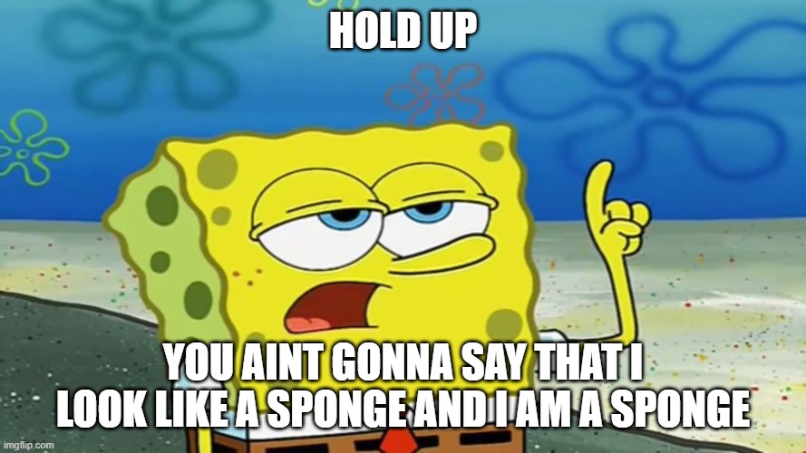 idk |  HOLD UP; YOU AINT GONNA SAY THAT I LOOK LIKE A SPONGE AND I AM A SPONGE | image tagged in fnaf meme | made w/ Imgflip meme maker