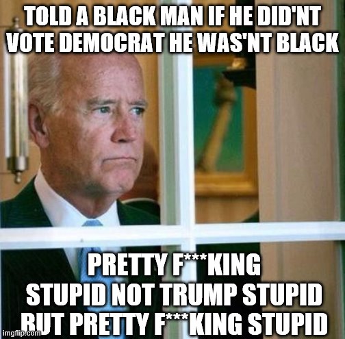 Sad Joe Biden | TOLD A BLACK MAN IF HE DID'NT VOTE DEMOCRAT HE WAS'NT BLACK; PRETTY F***KING STUPID NOT TRUMP STUPID BUT PRETTY F***KING STUPID | image tagged in sad joe biden | made w/ Imgflip meme maker