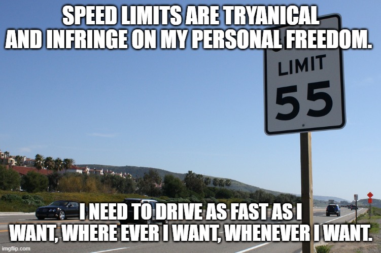 founding fathers didn't put speed limits in the Constitution | SPEED LIMITS ARE TRYANICAL AND INFRINGE ON MY PERSONAL FREEDOM. I NEED TO DRIVE AS FAST AS I WANT, WHERE EVER I WANT, WHENEVER I WANT. | image tagged in speed limit,stupid conservatives | made w/ Imgflip meme maker