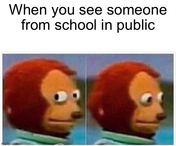 School | When you see someone from school in public | image tagged in memes,monkey puppet | made w/ Imgflip meme maker