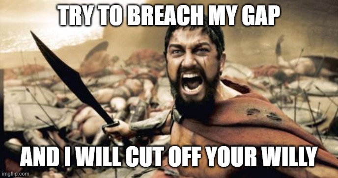 Sparta Leonidas Meme | TRY TO BREACH MY GAP AND I WILL CUT OFF YOUR WILLY | image tagged in memes,sparta leonidas | made w/ Imgflip meme maker