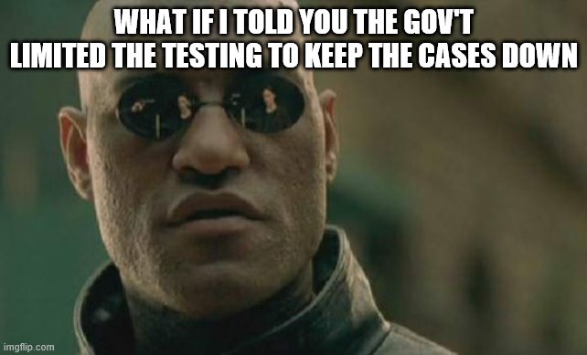 testing | WHAT IF I TOLD YOU THE GOV'T LIMITED THE TESTING TO KEEP THE CASES DOWN | image tagged in memes,matrix morpheus | made w/ Imgflip meme maker