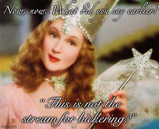 When they bicker at you again in the stream they said wasn't for bickering. | Now, now. What did you say earlier? “This is not the stream for bickering?” | image tagged in glinda,argument,imgflip,the daily struggle imgflip edition,first world imgflip problems,arguments | made w/ Imgflip meme maker