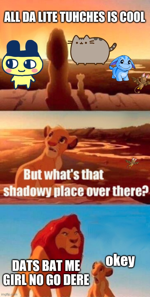 Simba Shadowy Place | ALL DA LITE TUHCHES IS COOL; okey; DATS BAT ME GIRL NO GO DERE | image tagged in memes,simba shadowy place | made w/ Imgflip meme maker