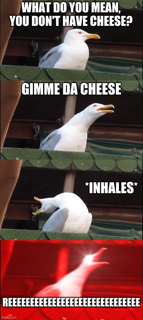where da cheese | WHAT DO YOU MEAN, YOU DON'T HAVE CHEESE? GIMME DA CHEESE; *INHALES*; REEEEEEEEEEEEEEEEEEEEEEEEEEEEEE | image tagged in memes,inhaling seagull | made w/ Imgflip meme maker