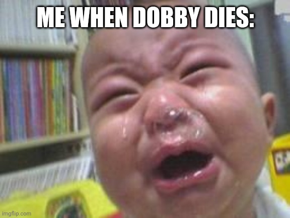 Funny crying baby! | ME WHEN DOBBY DIES: | image tagged in funny crying baby | made w/ Imgflip meme maker