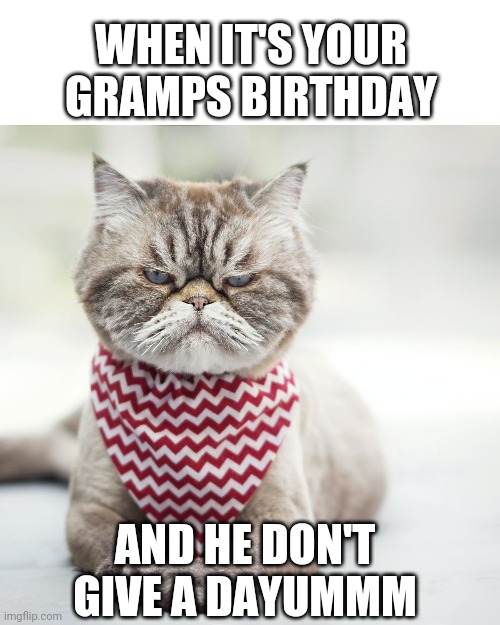 Mad gramps | WHEN IT'S YOUR GRAMPS BIRTHDAY; AND HE DON'T GIVE A DAYUMMM | image tagged in cats,grandpa,mad,birthday | made w/ Imgflip meme maker