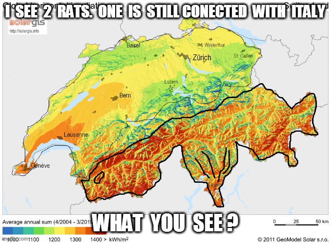 #RATS | I  SEE  2  RATS.  ONE  IS  STILL CONECTED  WITH  ITALY; WHAT  YOU  SEE ? | image tagged in rats | made w/ Imgflip meme maker
