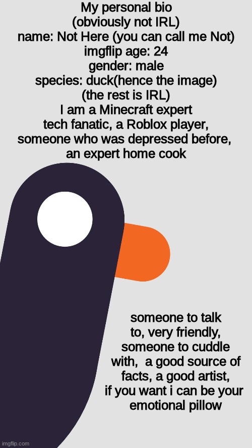 Not_Here´s bio (Ps. i already got adopted) | My personal bio
(obviously not IRL)
name: Not Here (you can call me Not)
imgflip age: 24
gender: male
species: duck(hence the image)

(the rest is IRL)
I am a Minecraft expert
tech fanatic, a Roblox player,
someone who was depressed before, 
an expert home cook; someone to talk to, very friendly, someone to cuddle with,  a good source of facts, a good artist, if you want i can be your 
emotional pillow | made w/ Imgflip meme maker