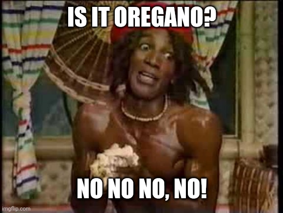 Is it oregano? | IS IT OREGANO? NO NO NO, NO! | image tagged in rasta | made w/ Imgflip meme maker