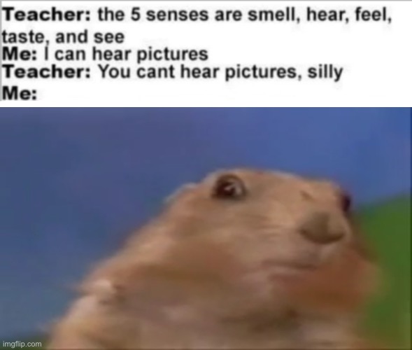 I can hear it to this day | image tagged in gopher,memes,you can't hear pictures | made w/ Imgflip meme maker