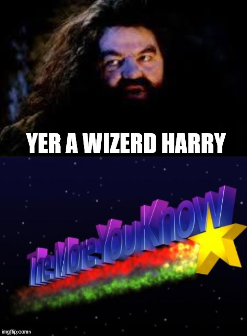 [Insert Title Here] | YER A WIZERD HARRY | image tagged in the more you know,your a wizard harry,harry potter | made w/ Imgflip meme maker