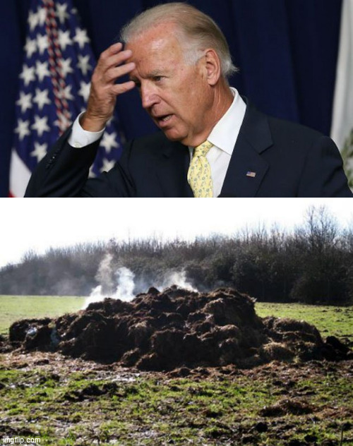 image tagged in steaming pile of shit,joe biden worries | made w/ Imgflip meme maker