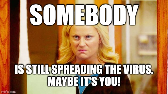 You don't have to be sick to spread it | SOMEBODY; IS STILL SPREADING THE VIRUS.
MAYBE IT'S YOU! | image tagged in leslie knope angry,covid-19 | made w/ Imgflip meme maker