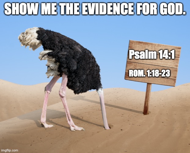 The Senseless Man. | SHOW ME THE EVIDENCE FOR GOD. Psalm 14:1; ROM. 1:18-23 | image tagged in the fool,atheist,faithless,stubborn,godless | made w/ Imgflip meme maker