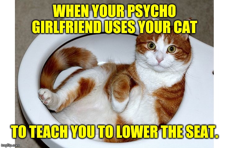 Life lessons | WHEN YOUR PSYCHO GIRLFRIEND USES YOUR CAT; TO TEACH YOU TO LOWER THE SEAT. | image tagged in funny cat | made w/ Imgflip meme maker