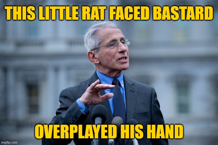 Fauci | THIS LITTLE RAT FACED BASTARD OVERPLAYED HIS HAND | image tagged in fauci | made w/ Imgflip meme maker