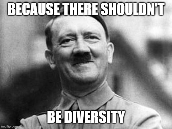 adolf hitler | BECAUSE THERE SHOULDN'T BE DIVERSITY | image tagged in adolf hitler | made w/ Imgflip meme maker