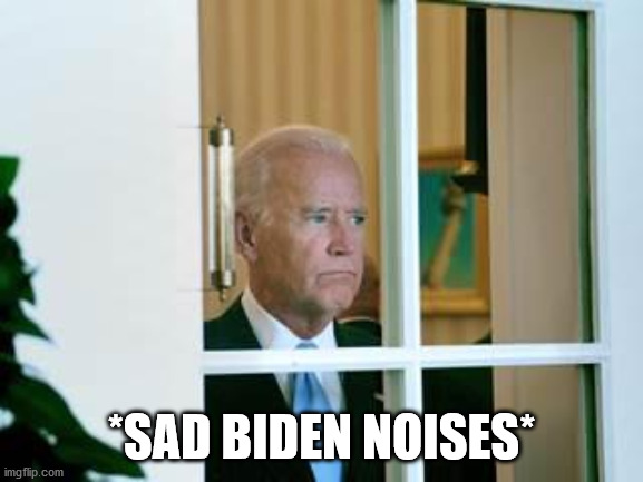 sad biden | *SAD BIDEN NOISES* | image tagged in sad biden | made w/ Imgflip meme maker