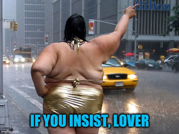 IF YOU INSIST, LOVER | made w/ Imgflip meme maker