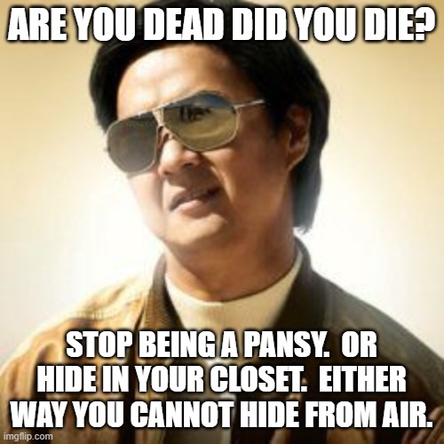 But did you die? | ARE YOU DEAD DID YOU DIE? STOP BEING A PANSY.  OR HIDE IN YOUR CLOSET.  EITHER WAY YOU CANNOT HIDE FROM AIR. | image tagged in but did you die | made w/ Imgflip meme maker